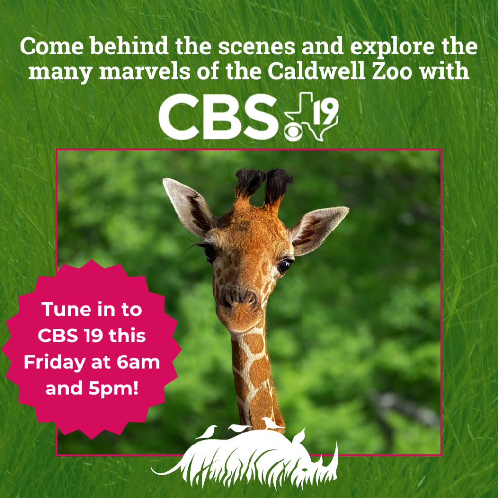 Tune in!