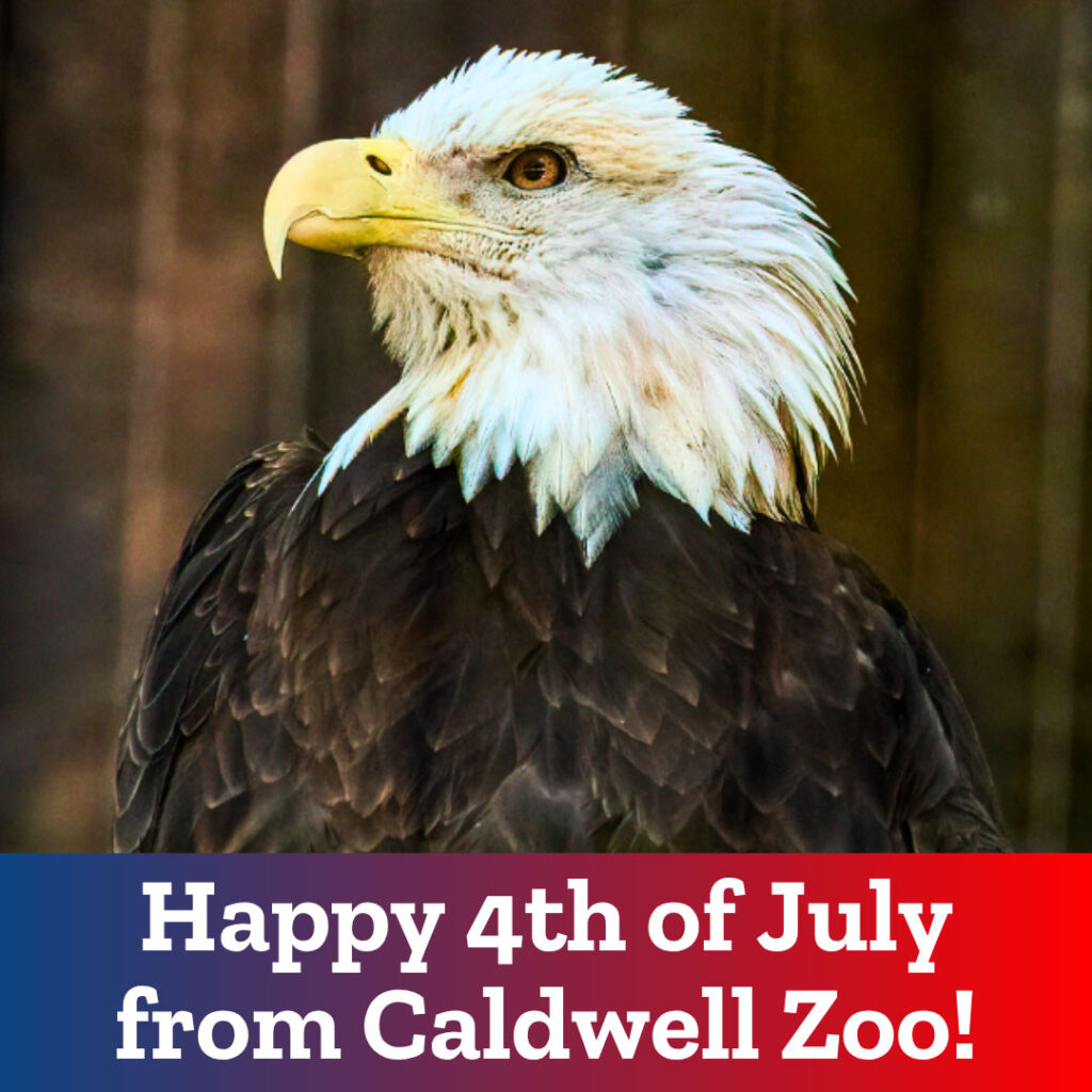 4th of July!