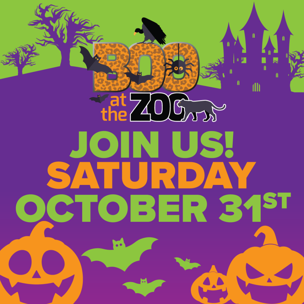 Boo!