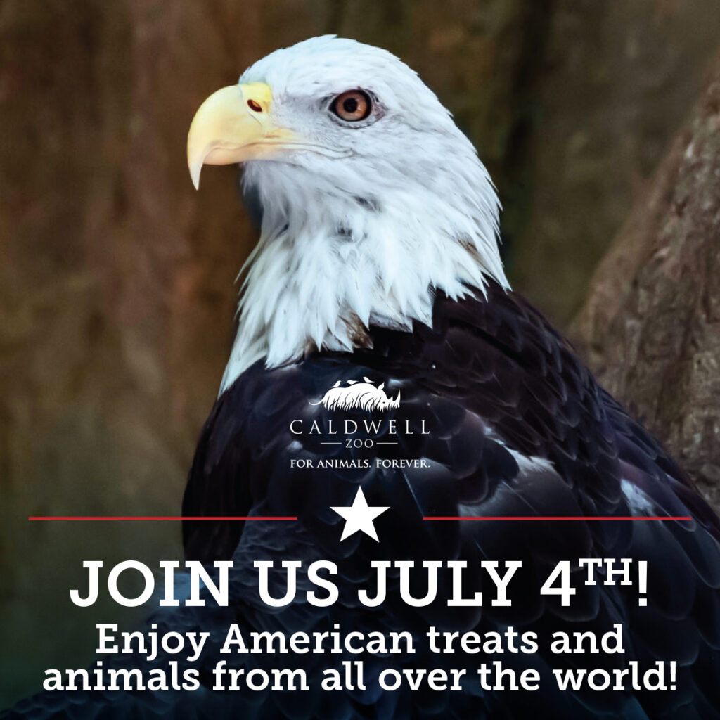 Happy 250th!