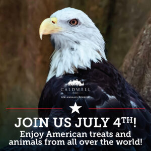 Happy 250th!
