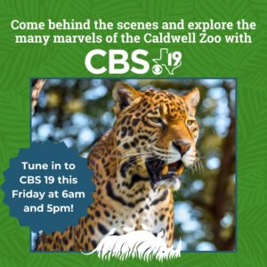 Exploring the Caldwell Zoo with CBS 19.