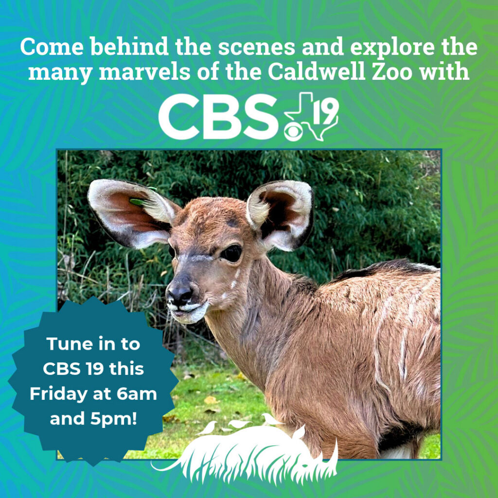 Tune In!