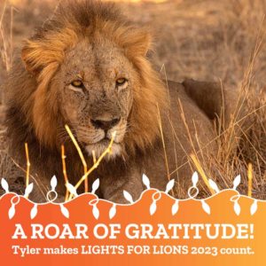 Lights for Lions Gratitude