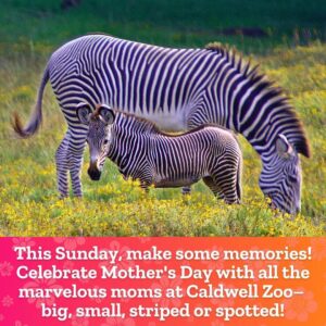 Mother's Day at the Zoo