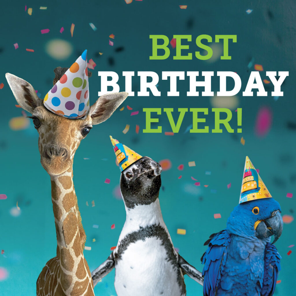 Birthdays at Caldwell Zoo!