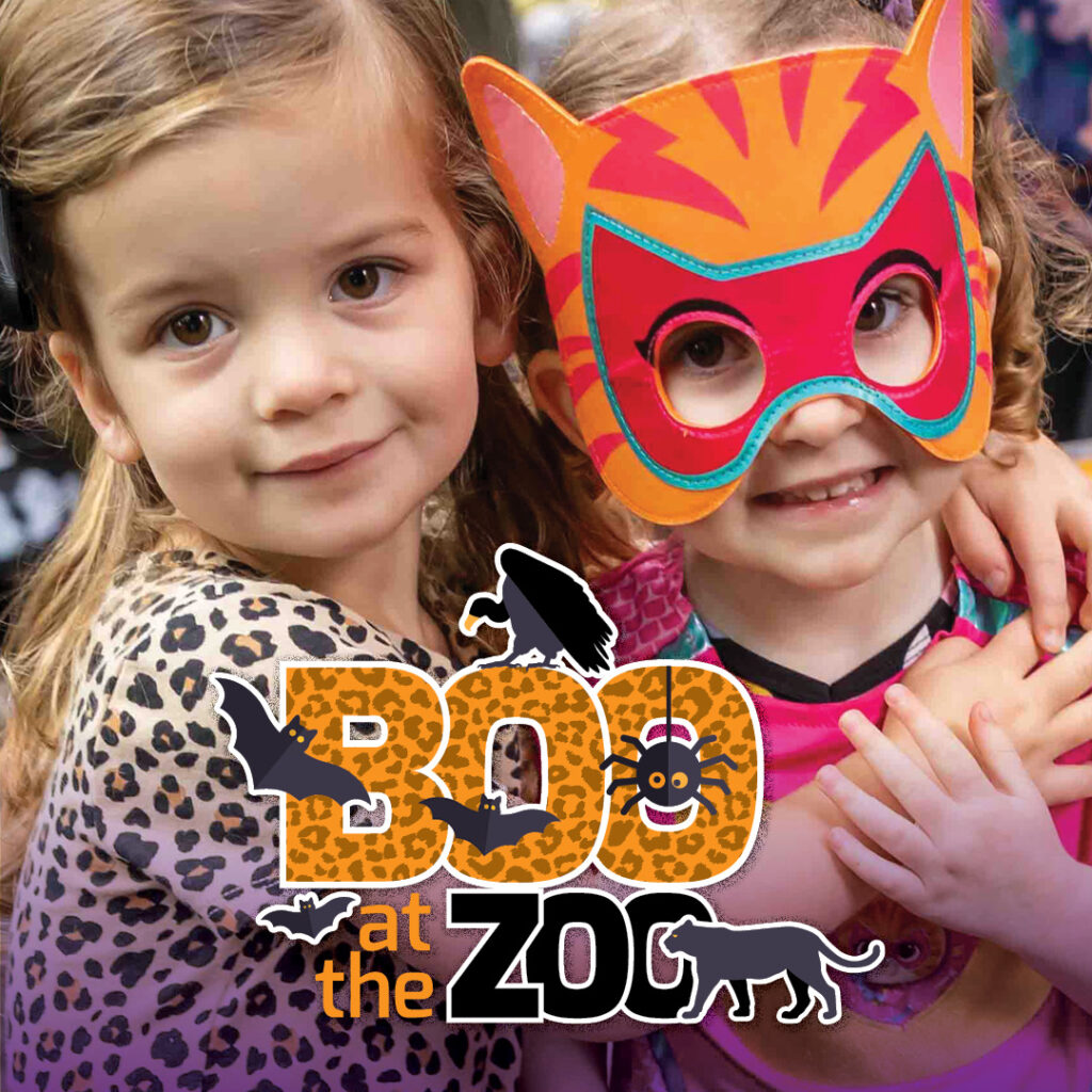 Boo 2025