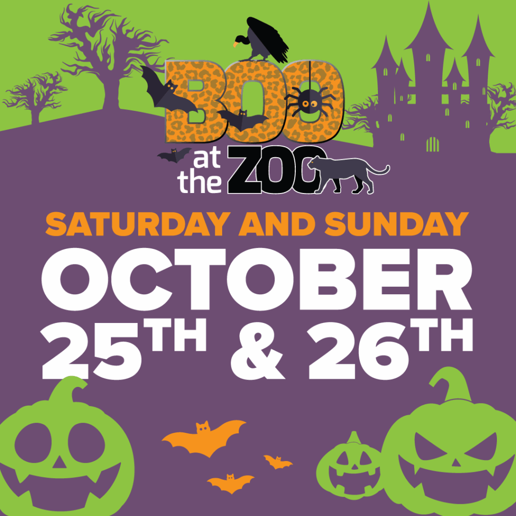 Boo at the Zoo