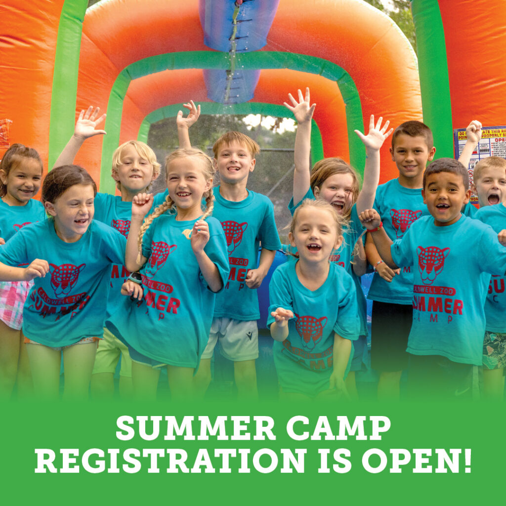 Summer Camp Registration is Open