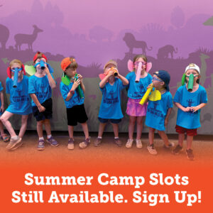 Camp