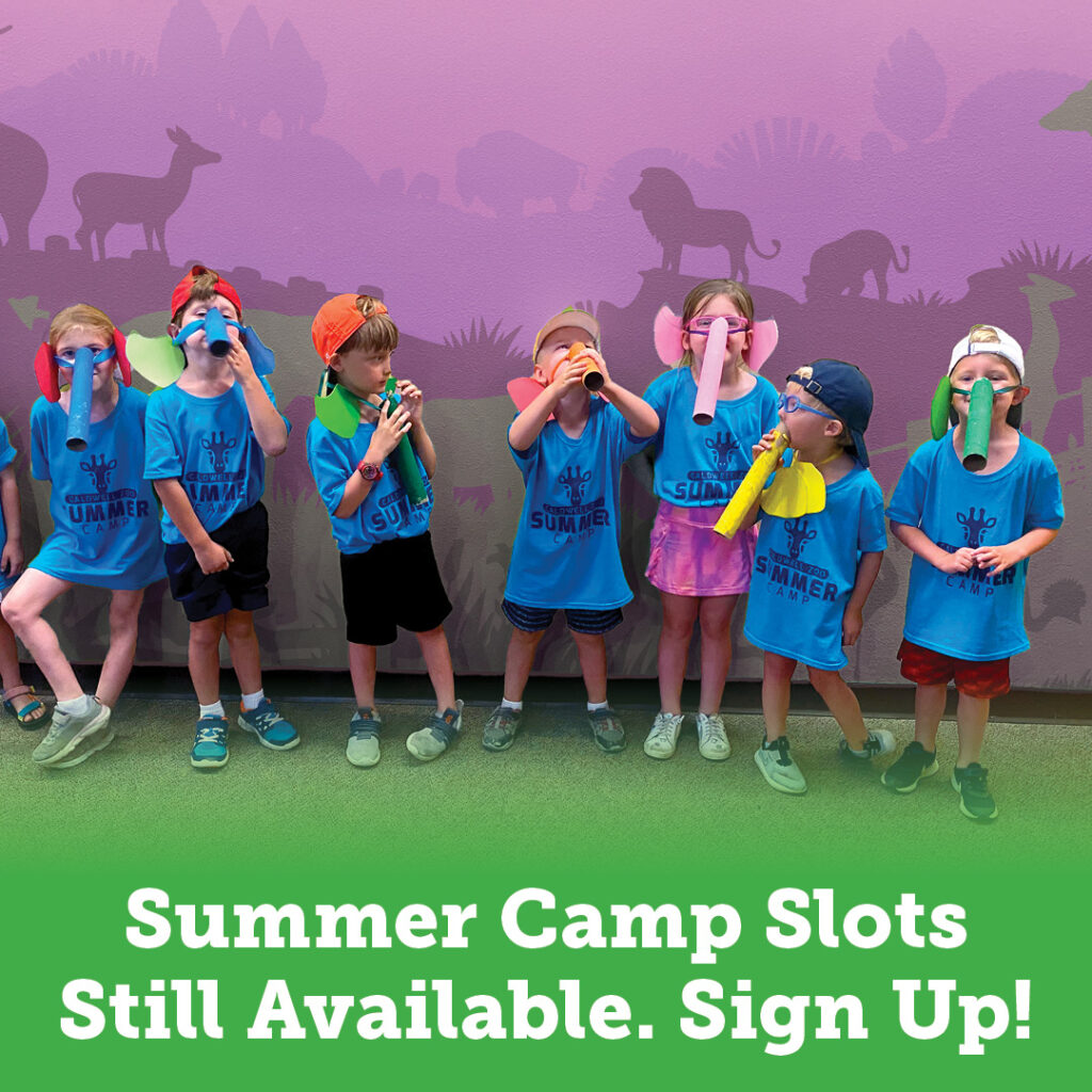 Summer Camp