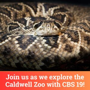 Exploring the Caldwell Zoo