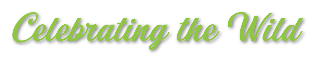 Celebrating the Wild