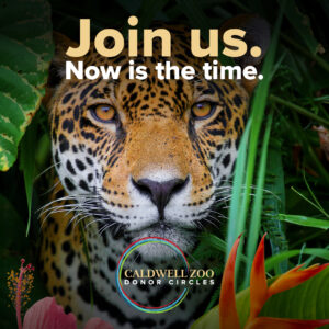 Join Donor Circles