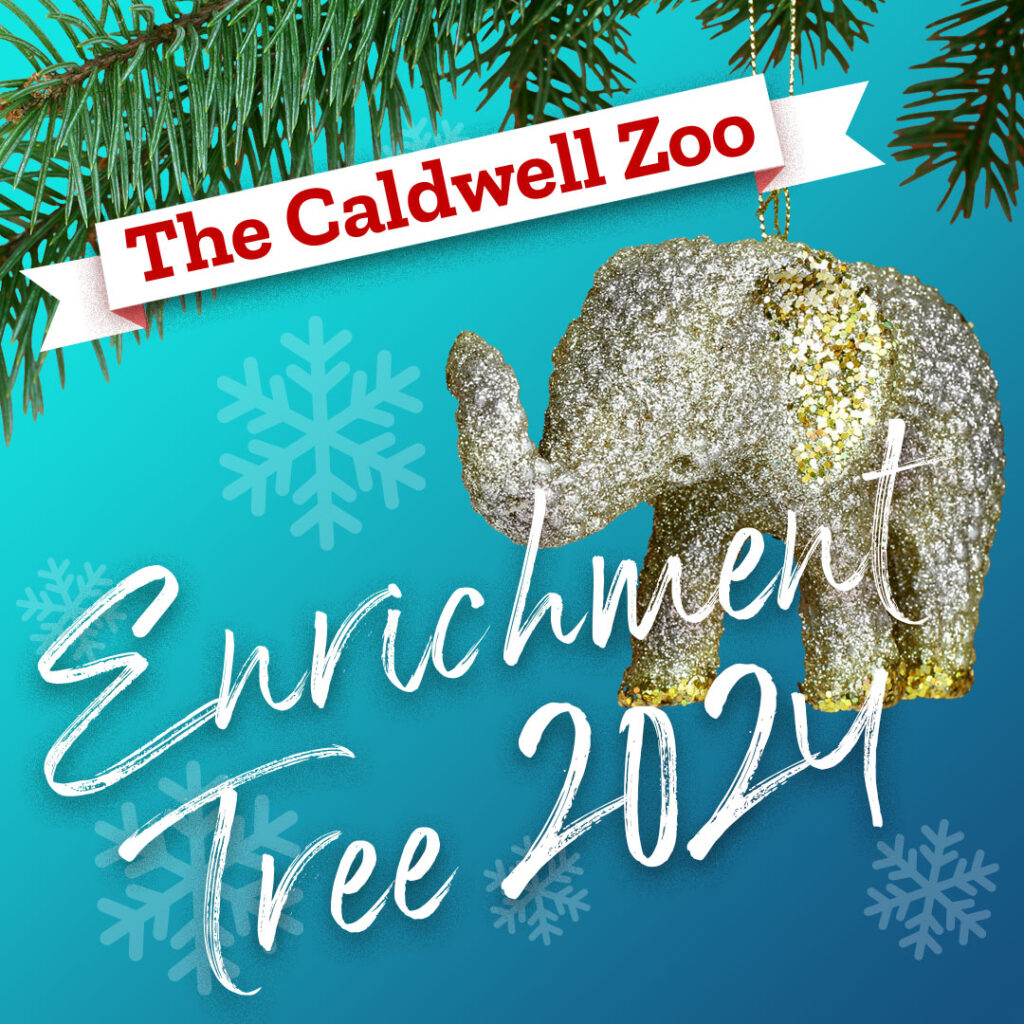 Enrichment Tree 2024