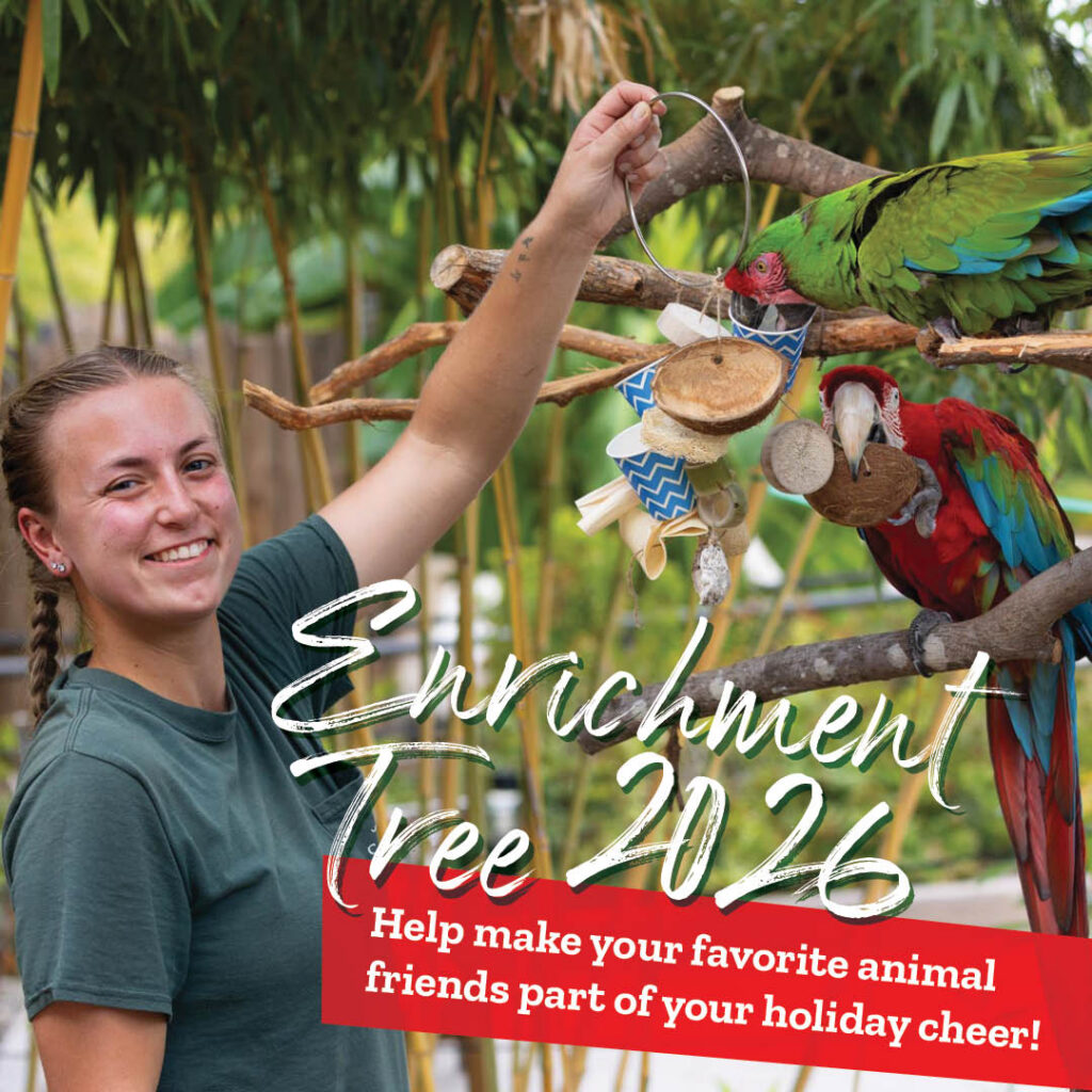 Enrichment Tree