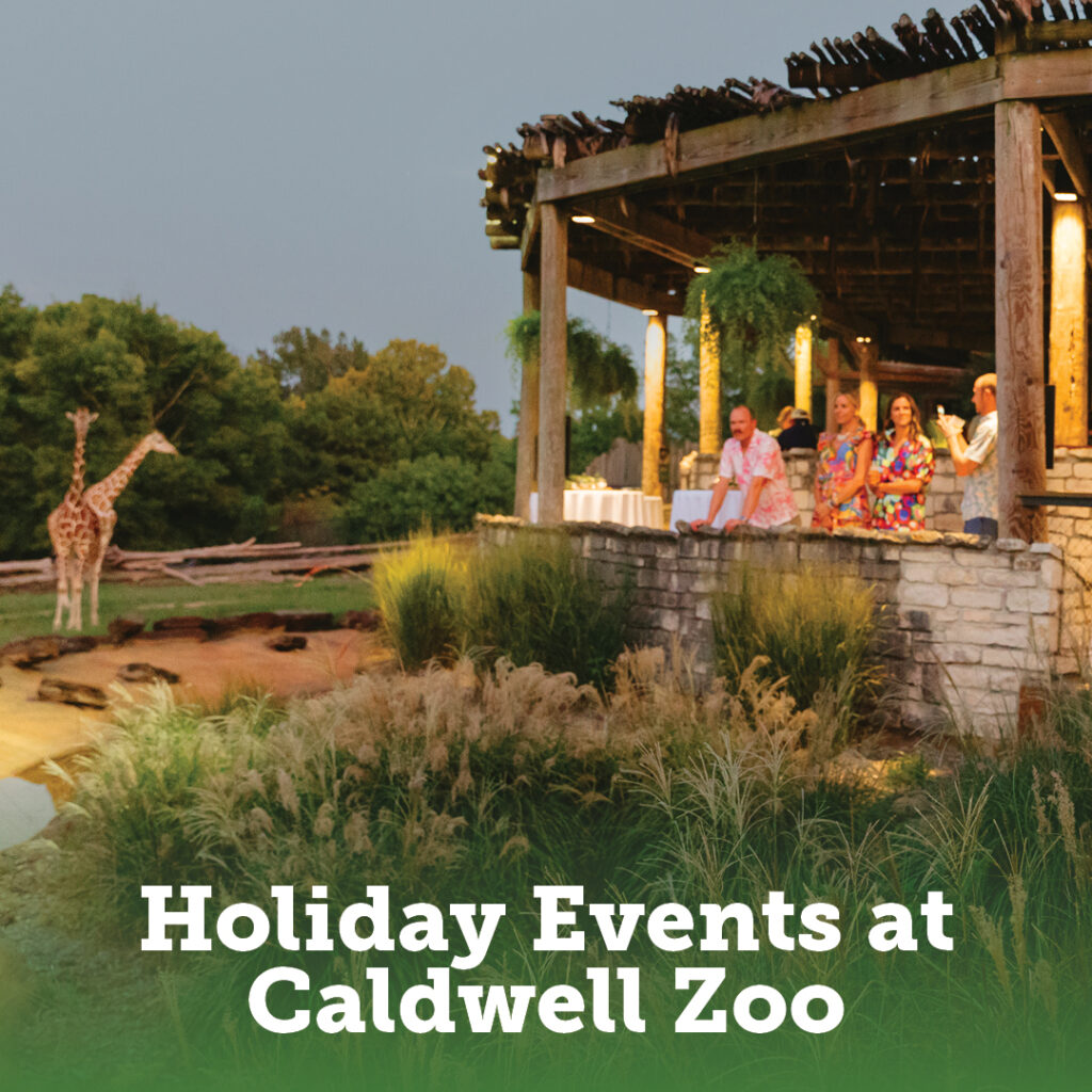 Holiday Events