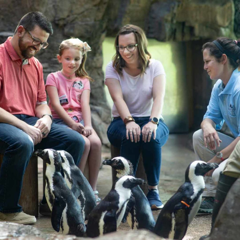 Food and Fun CaldwellZoo