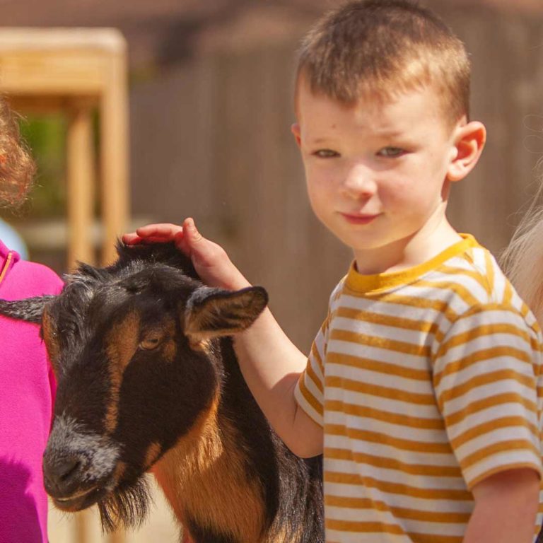 petting-zoo-caldwellzoo