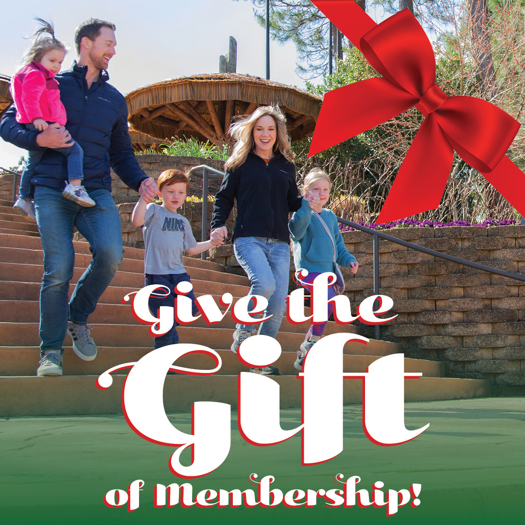 Give the gift of membership