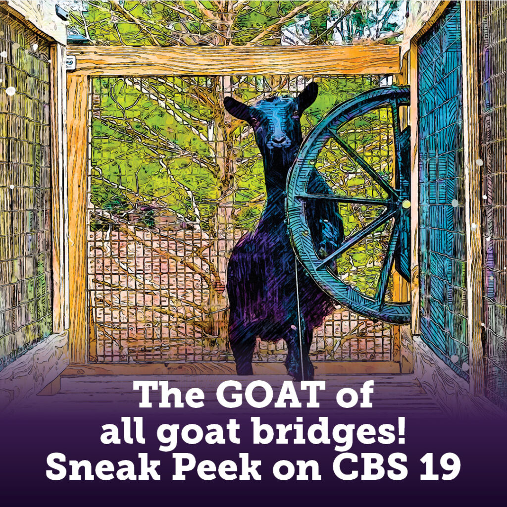 Goat Bridge with CBS