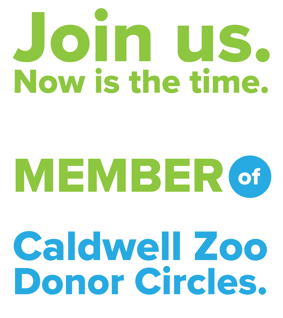 Join Donor Circles