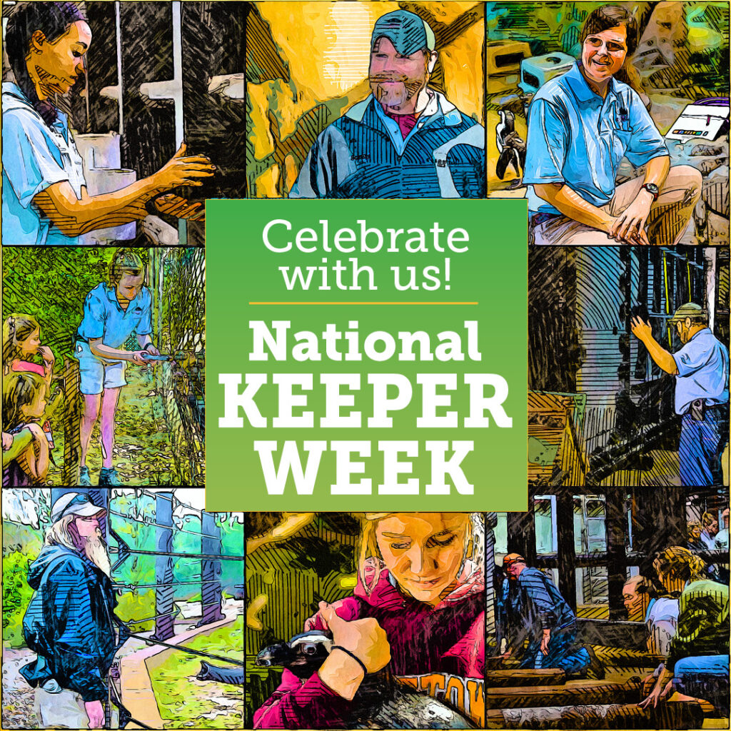 Celebrating Keepers