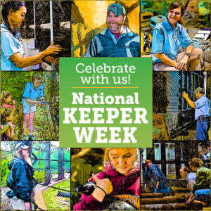 Celebrating Keepers