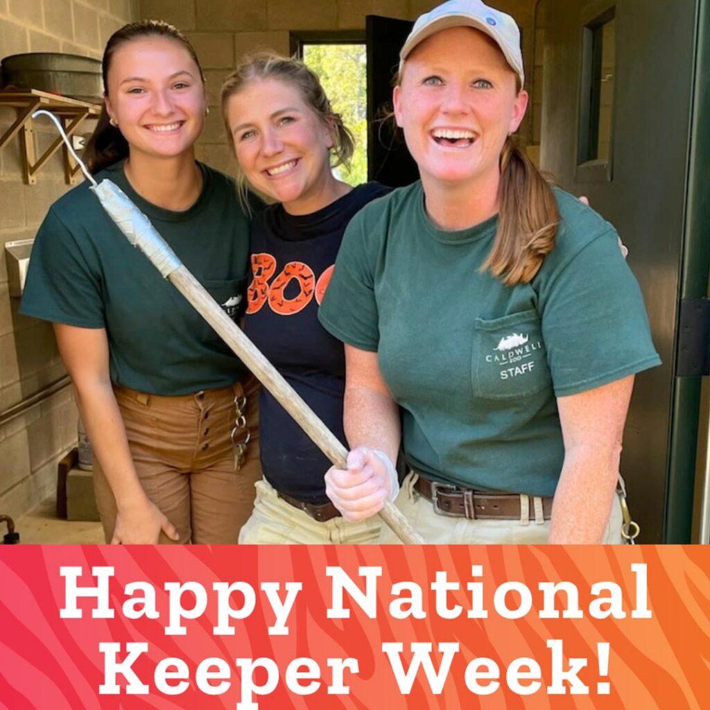 Keeper Week!