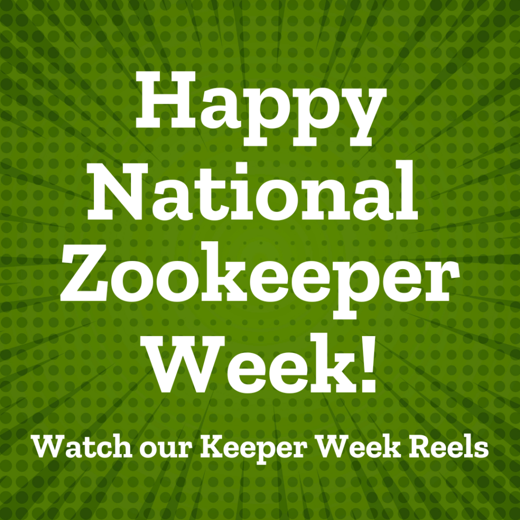 It's Keeper Week!