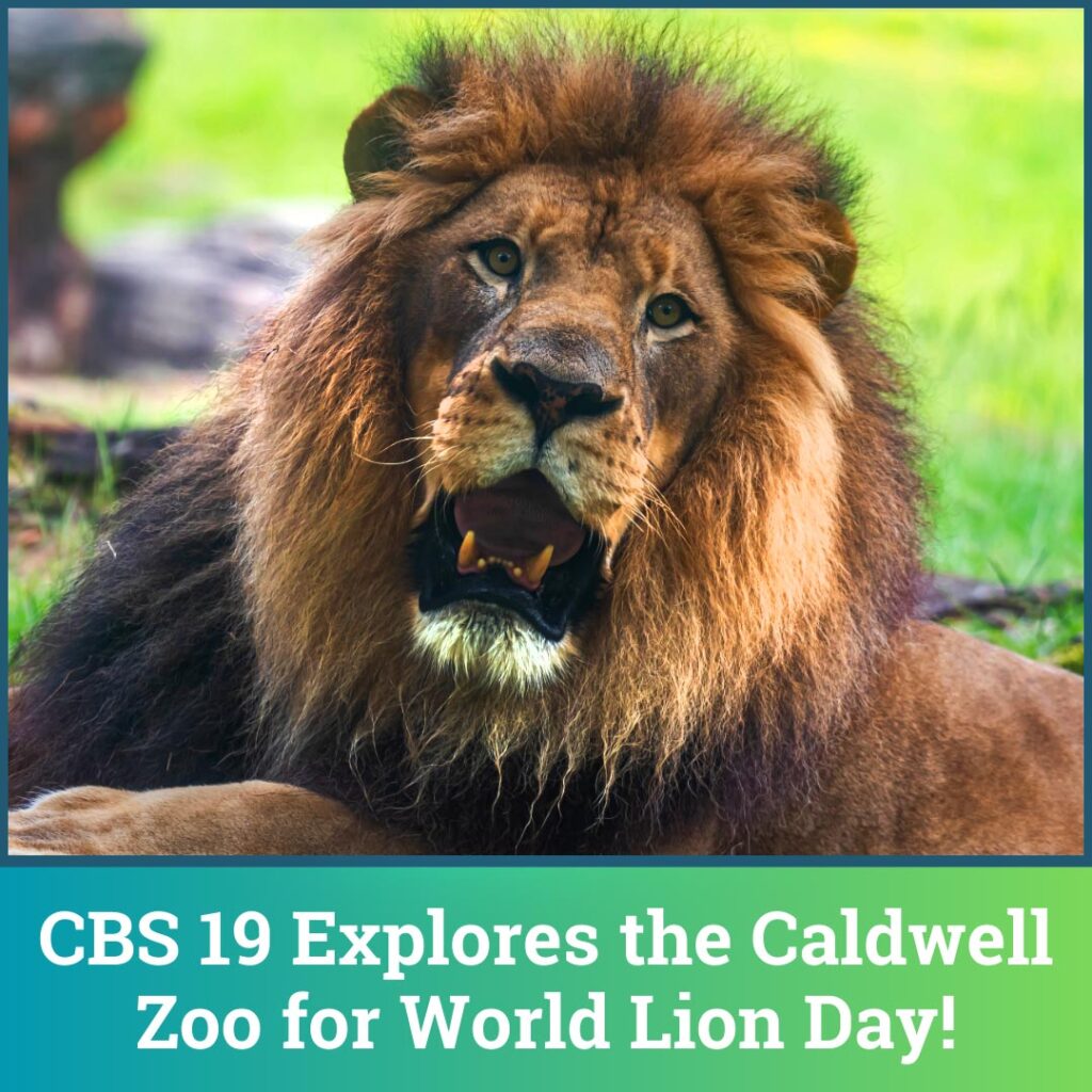 CaldwellZoo – For Animals. Forever.