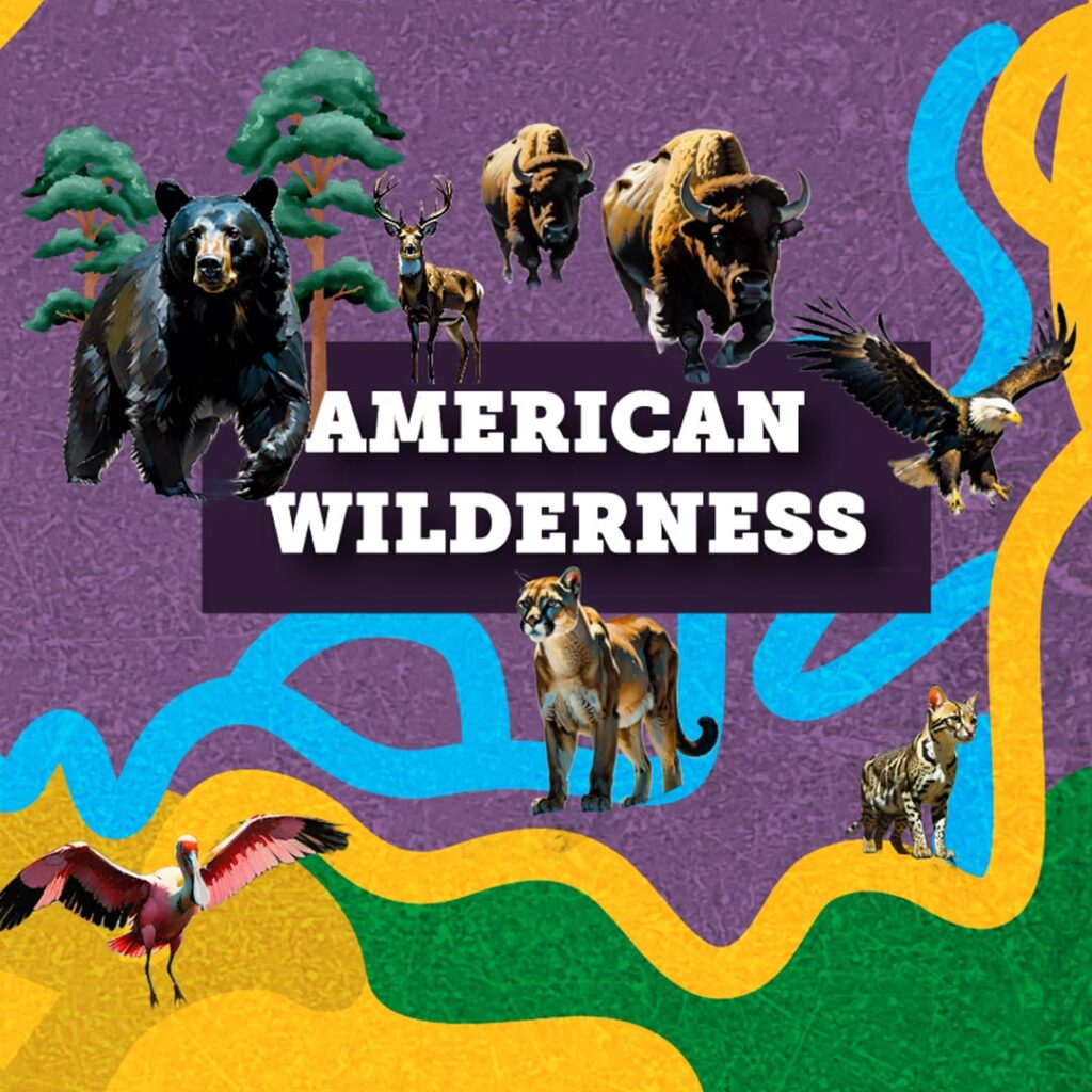 American Wilderness