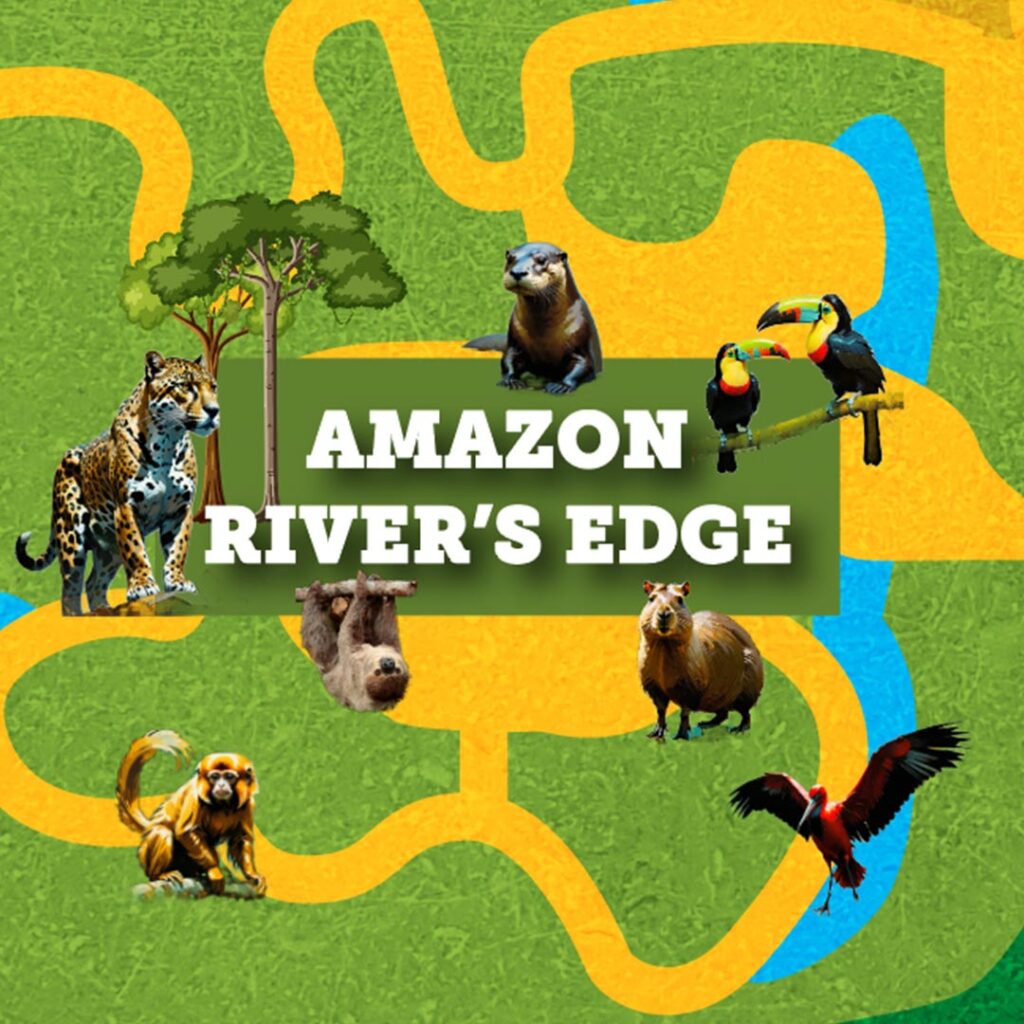 Amazon River's Edge