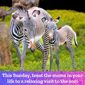 Mother's Day at Caldwell Zoo