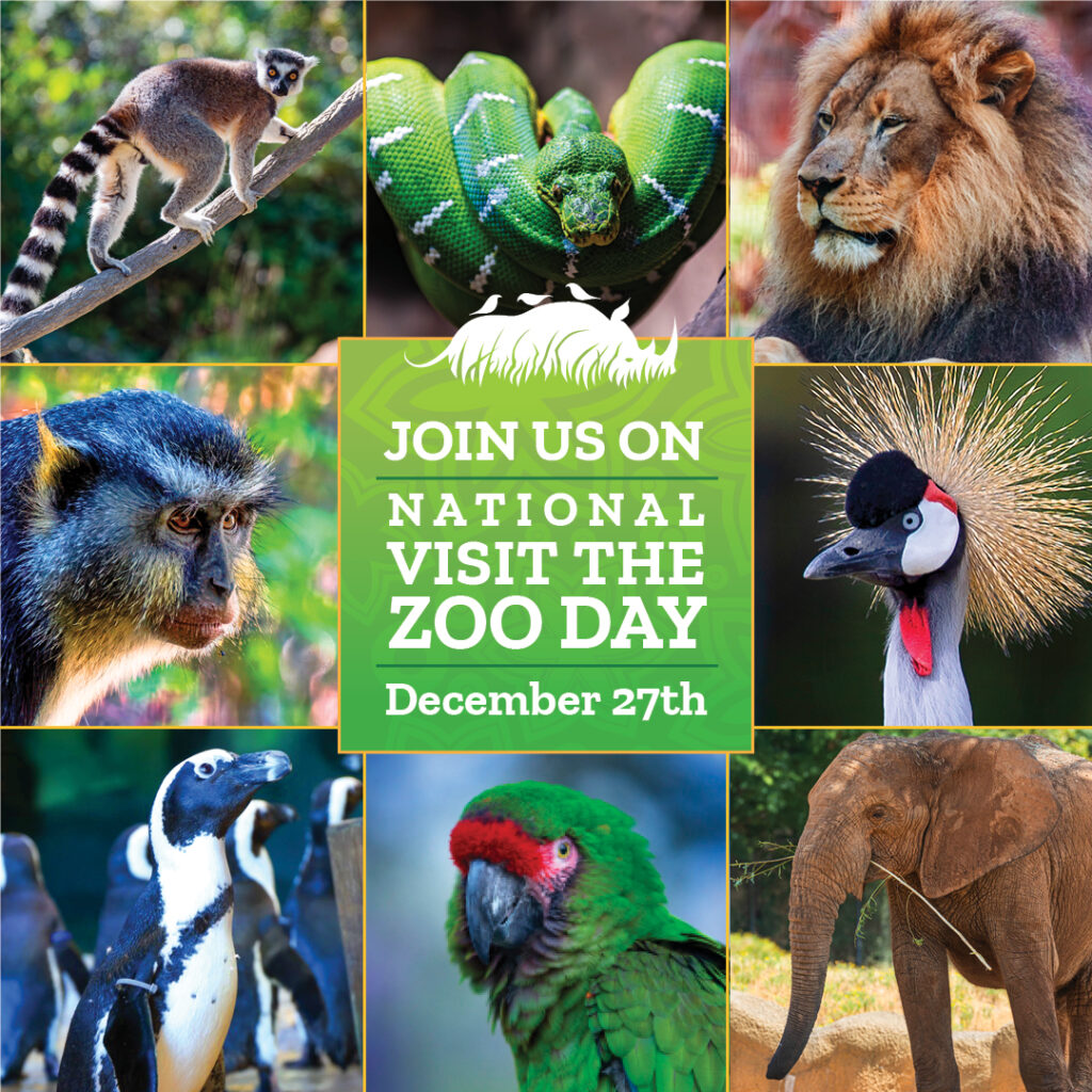 Visit the Zoo Day