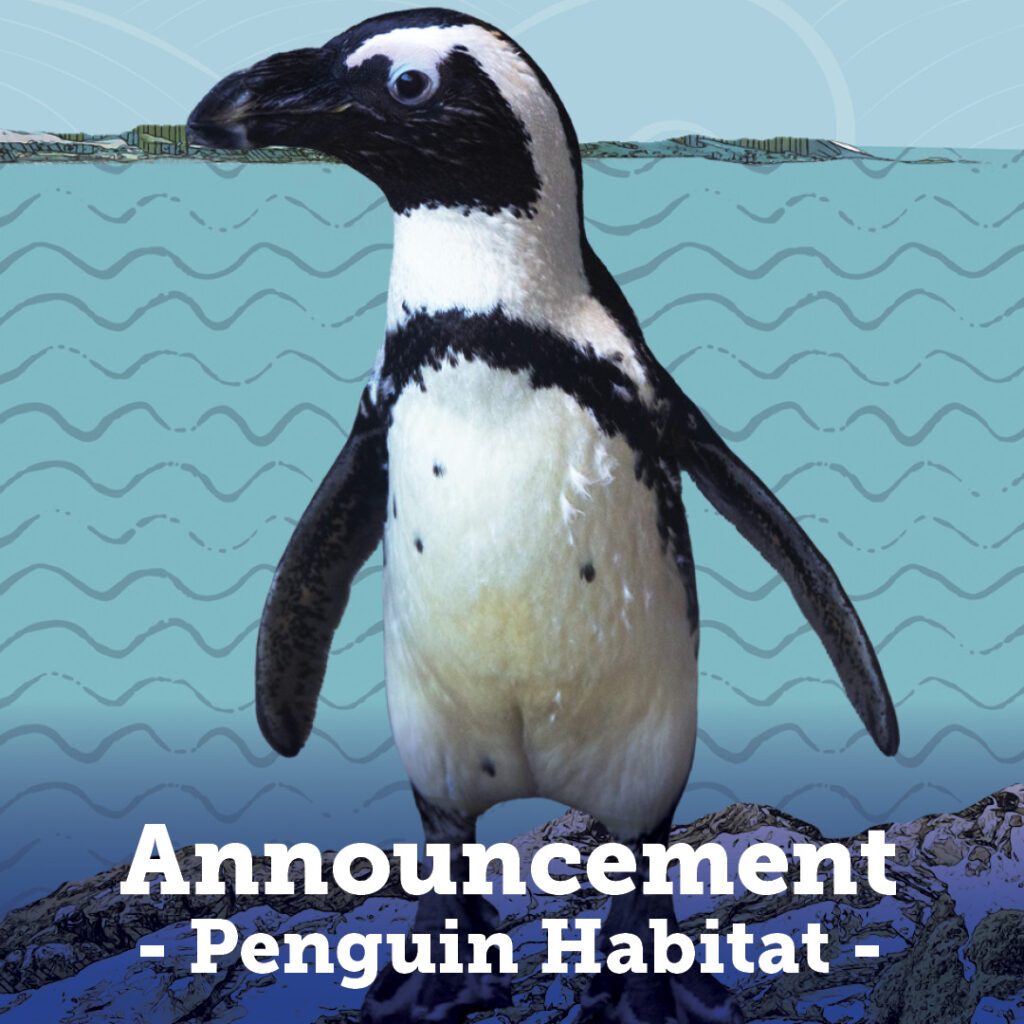 Temp Penguin Habitat Closure