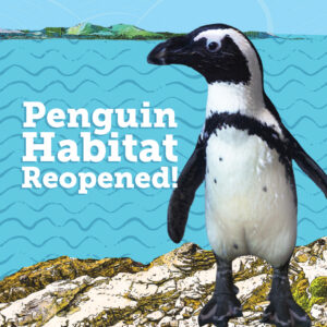 Penguin Habitat Reopens