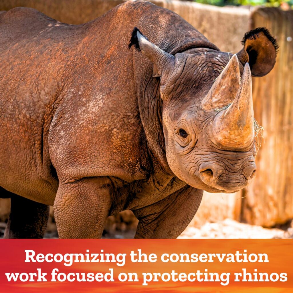Rhino Day