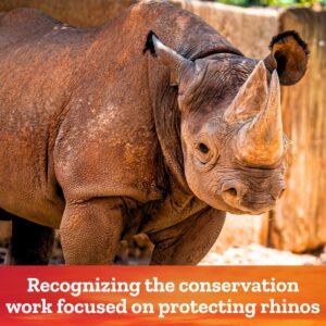 Rhino Day