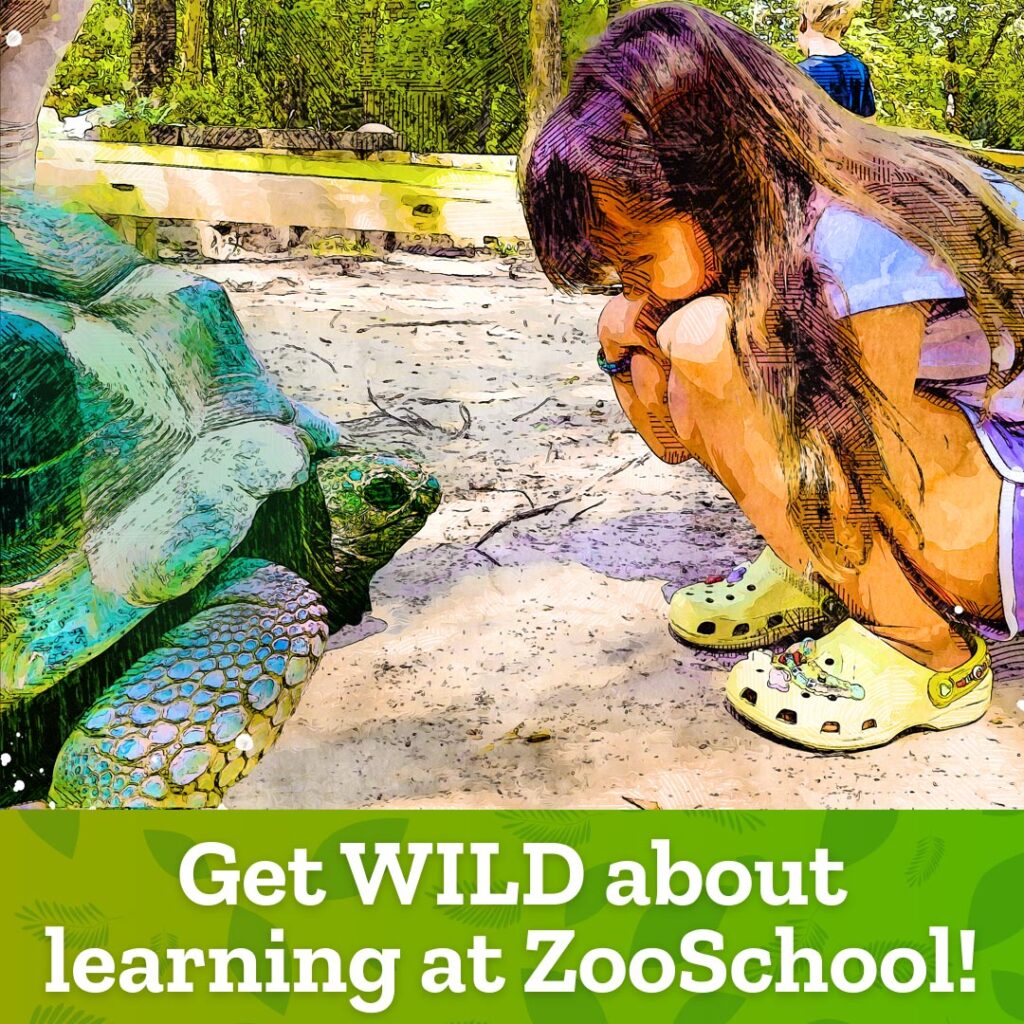 ZooSchool