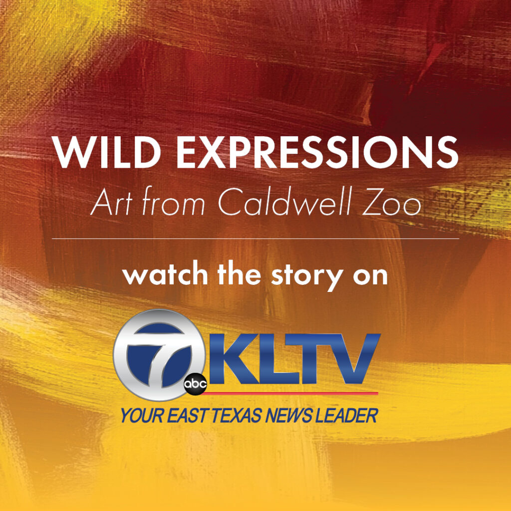 KLTV News Story