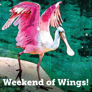 Weekend of Wings