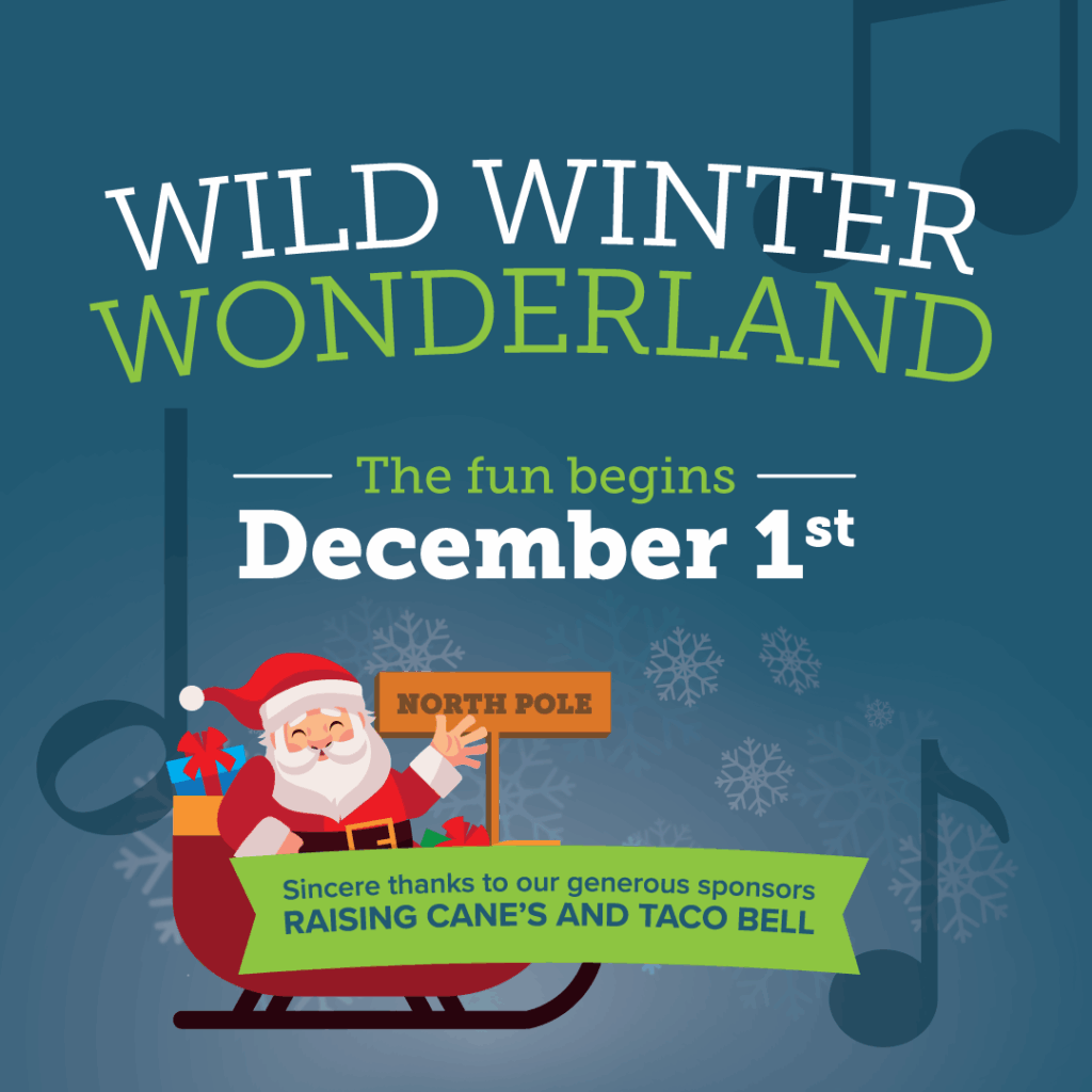 Wild Winter Wonderland