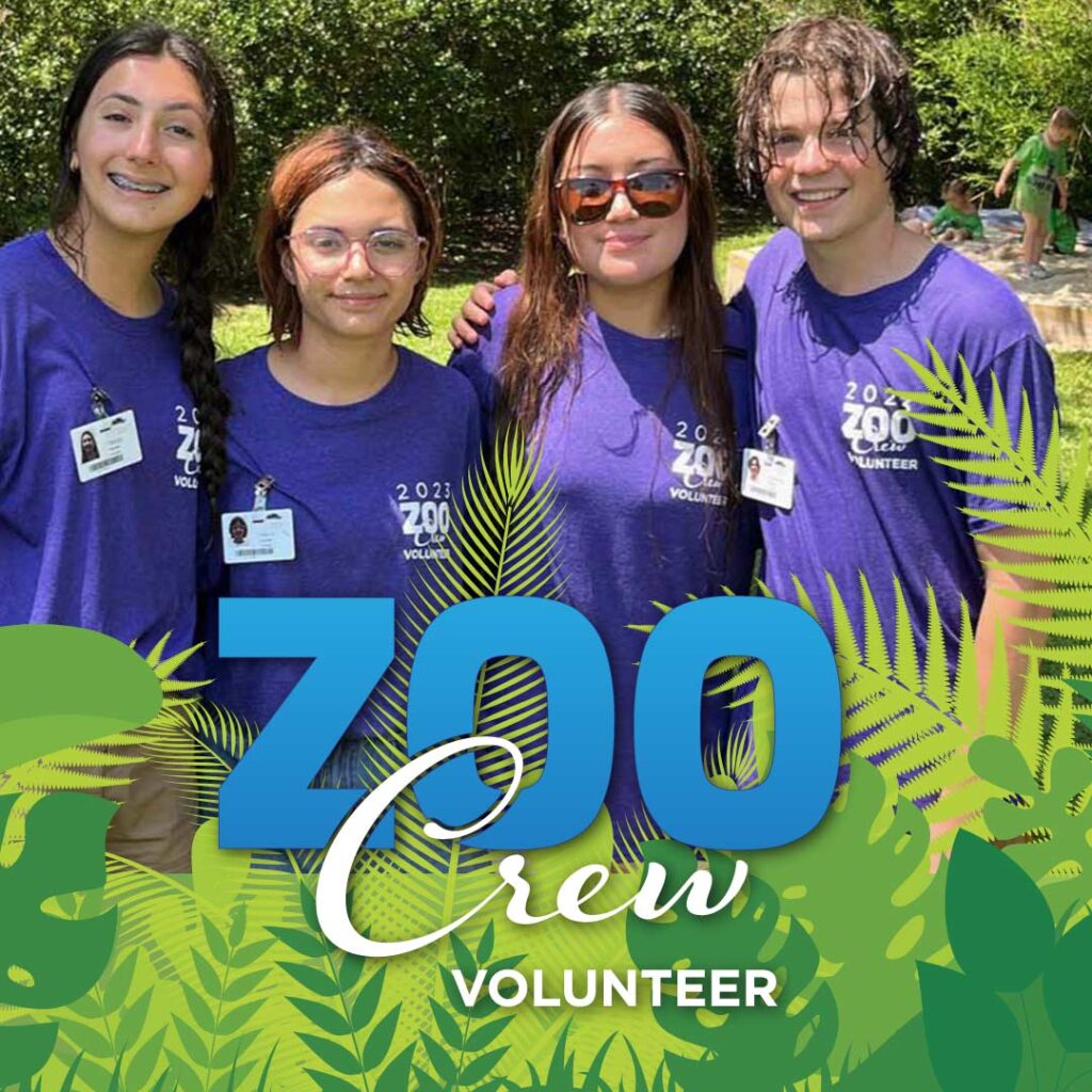 Volunteer for ZooCrew