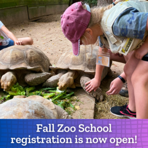 ZooSchool Registration Open