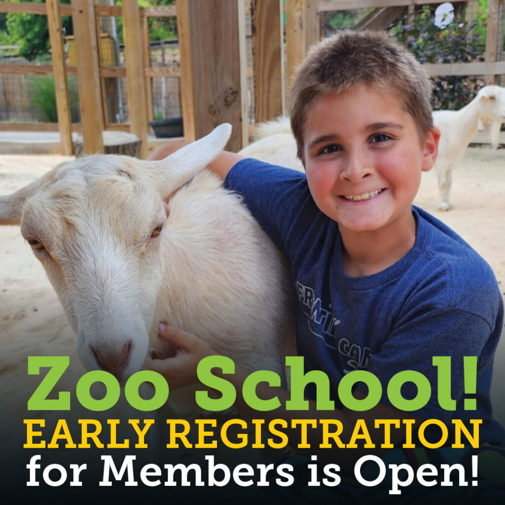 Register Today!