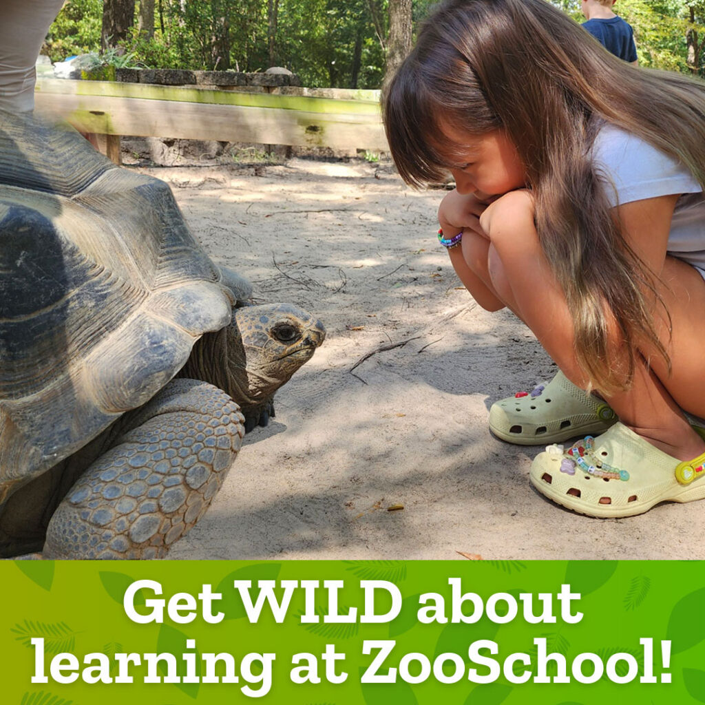 ZooSchool
